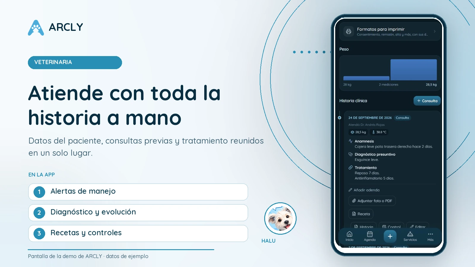 Vista ilustrativa de ARCLY para veterinaria con datos de ejemplo.