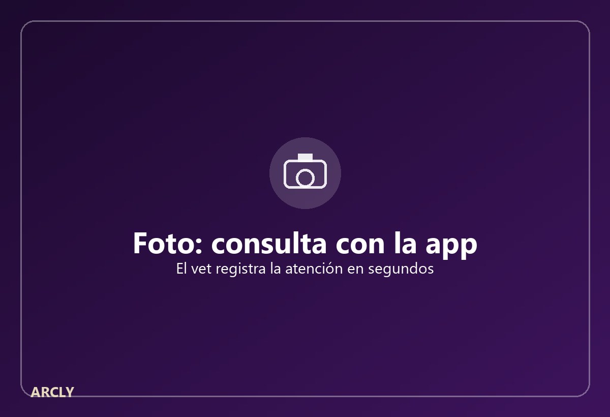 Registro de consulta en ARCLY