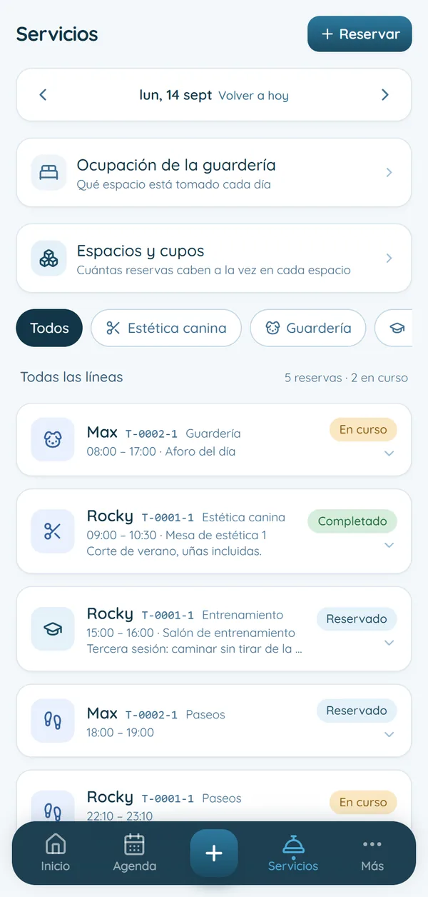 Servicios del día en ARCLY: guardería, estética, entrenamiento y paseos con su estado
